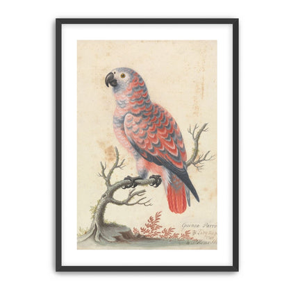 Parrot among bare branches