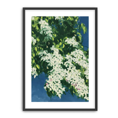 White blossoms on blue field