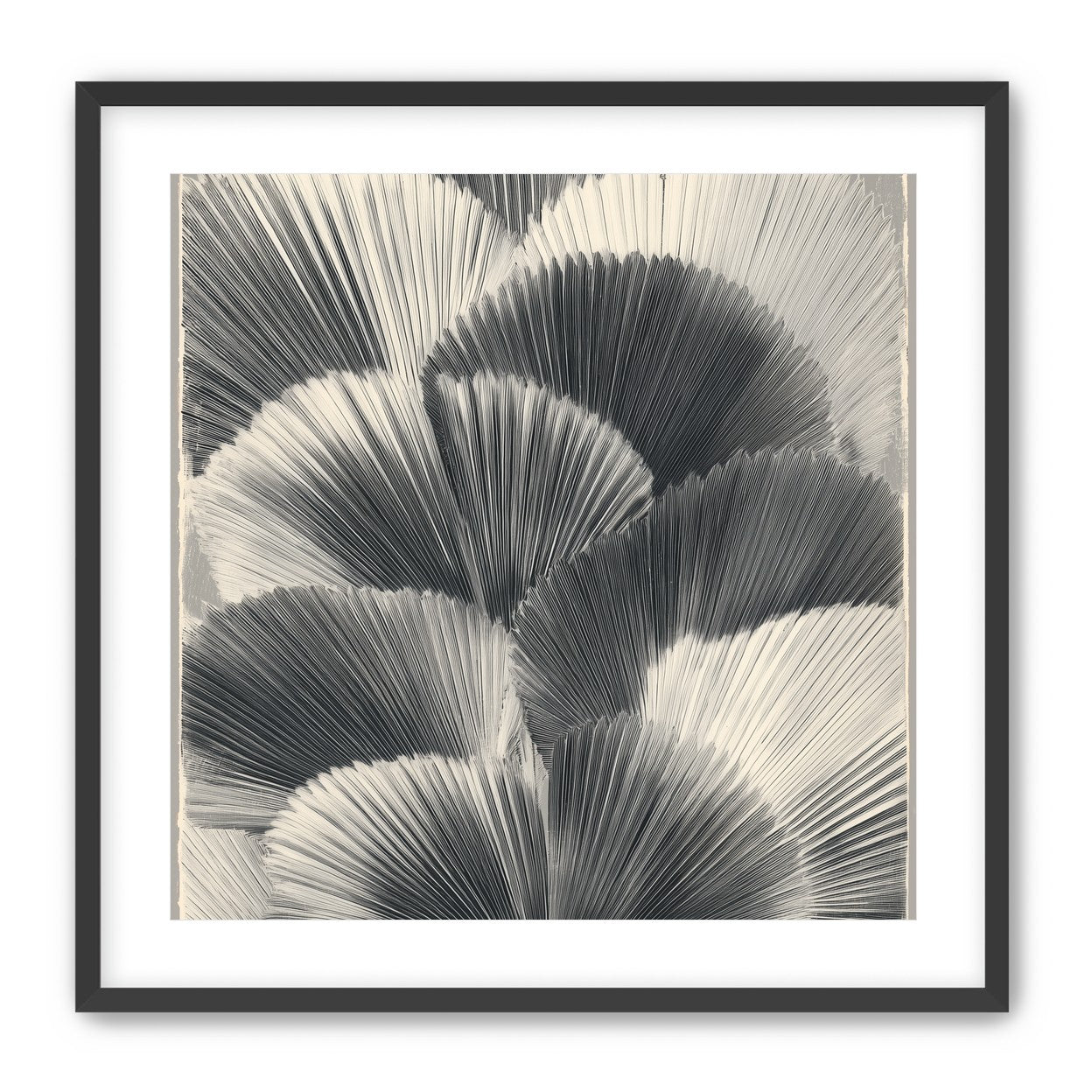 Ginkgo leaves in shadow