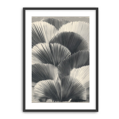 Ginkgo leaves in shadow