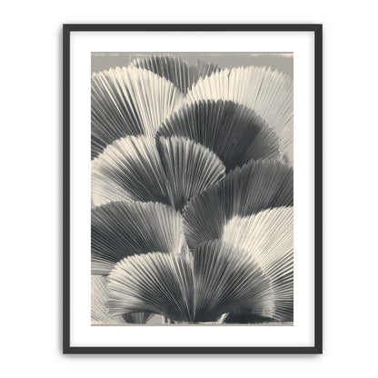 Ginkgo leaves in shadow