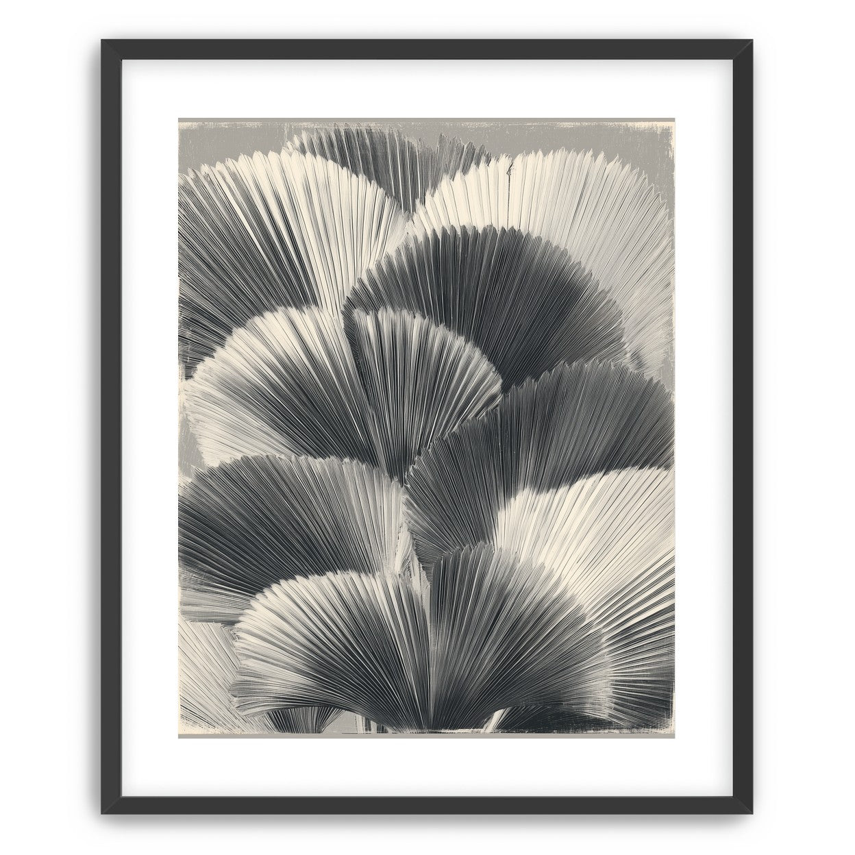 Ginkgo leaves in shadow