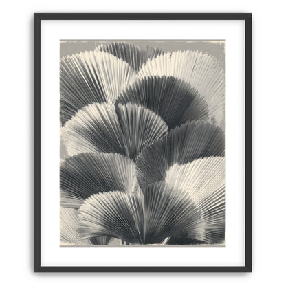 Ginkgo leaves in shadow