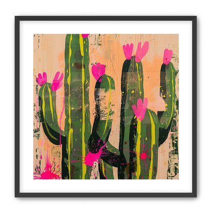 Pink blooms on cacti