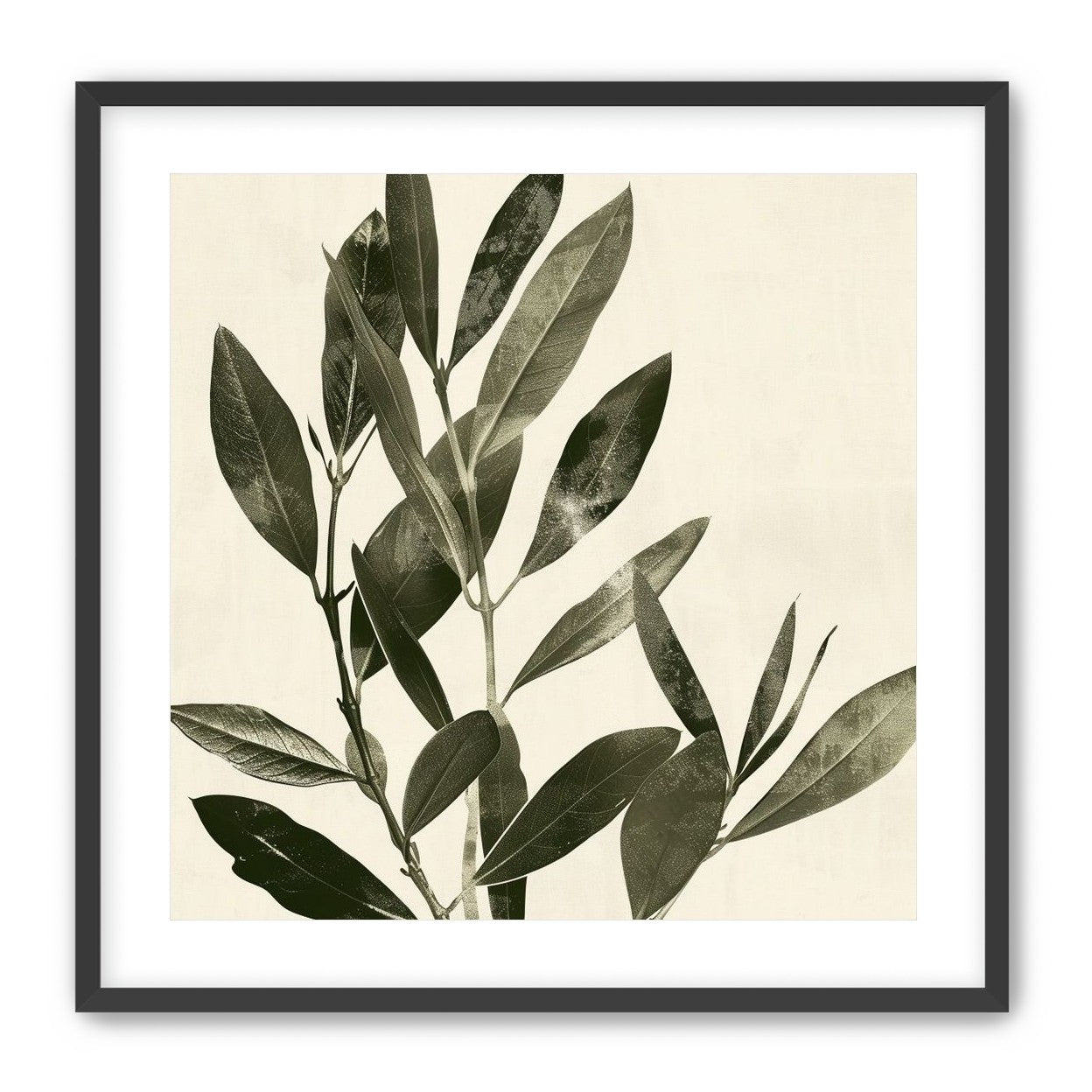 Dark leaves on pale field