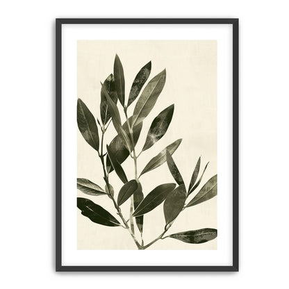 Dark leaves on pale field