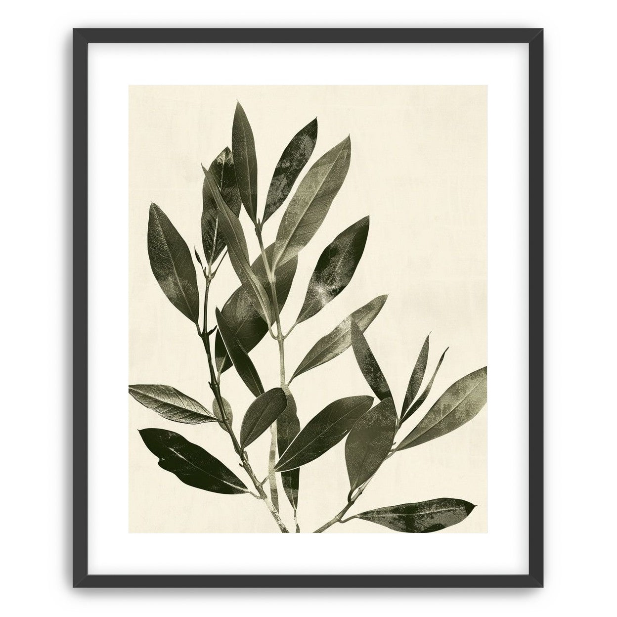 Dark leaves on pale field