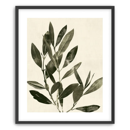 Dark leaves on pale field
