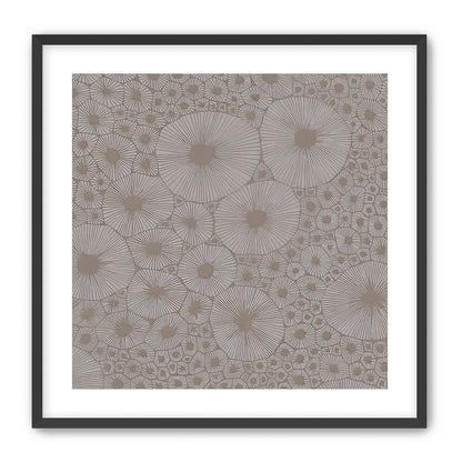 Bold Coral