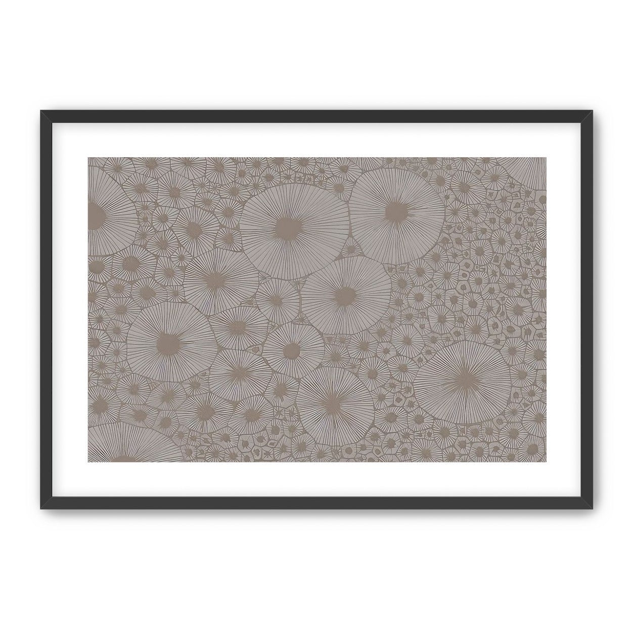 Bold Coral