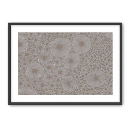 Bold Coral