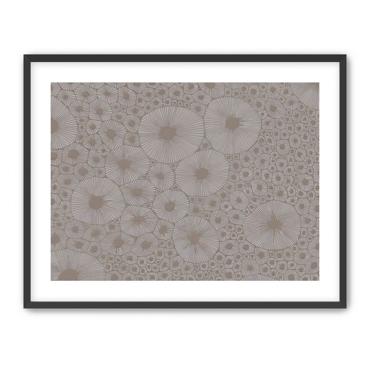 Bold Coral