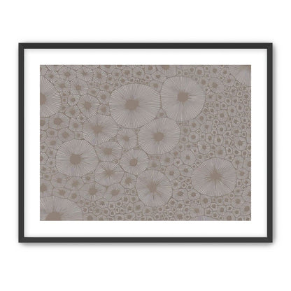 Bold Coral