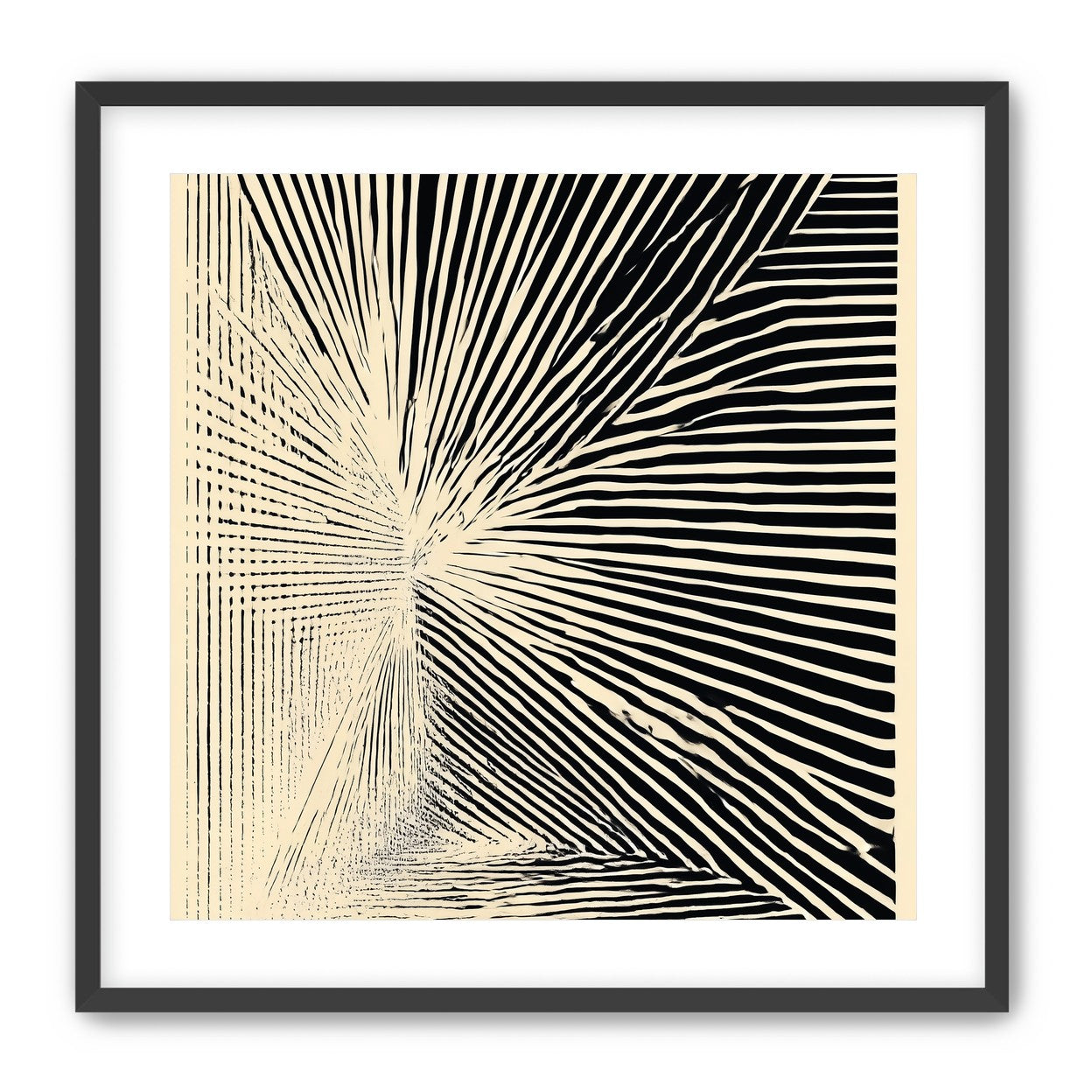 Convergence within black stripes