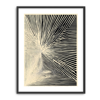 Convergence within black stripes