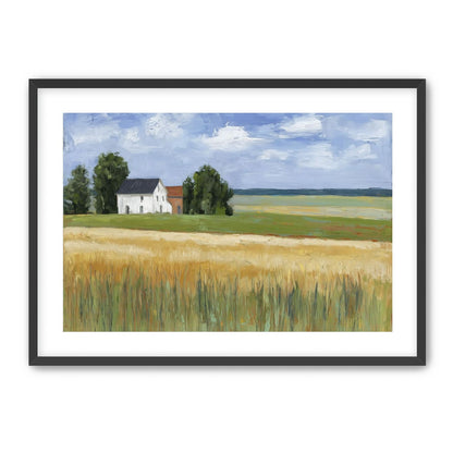 Grain Field Under Sun