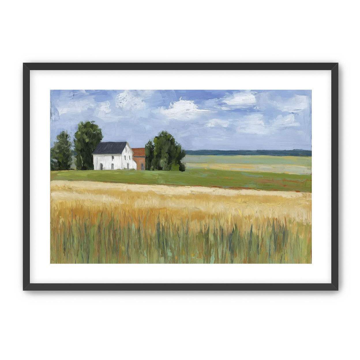 Grain Field Under Sun