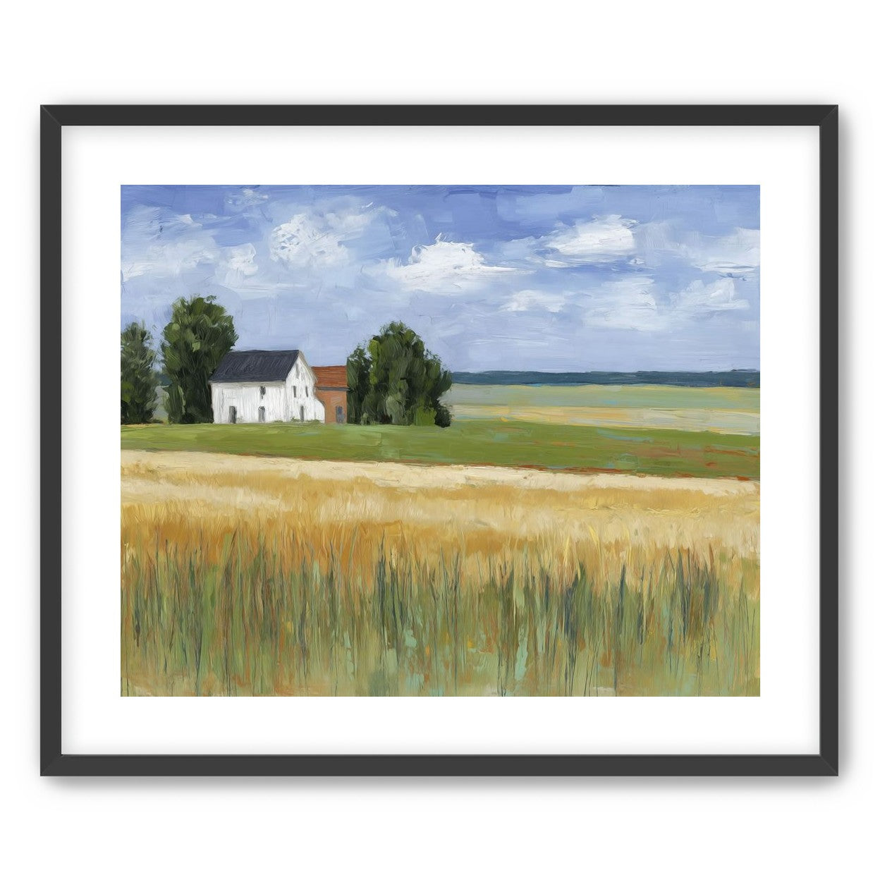 Grain Field Under Sun