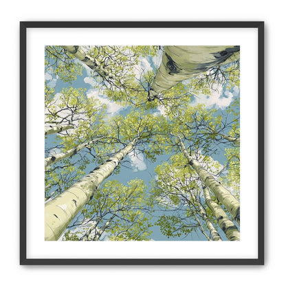 Aspen Canopy I