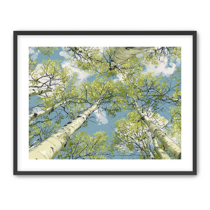 Aspen Canopy I