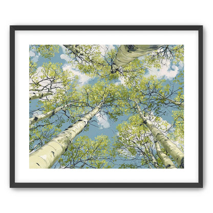 Aspen Canopy I