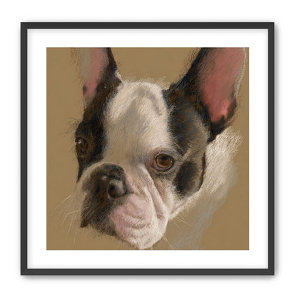 Close portrait with upright ears