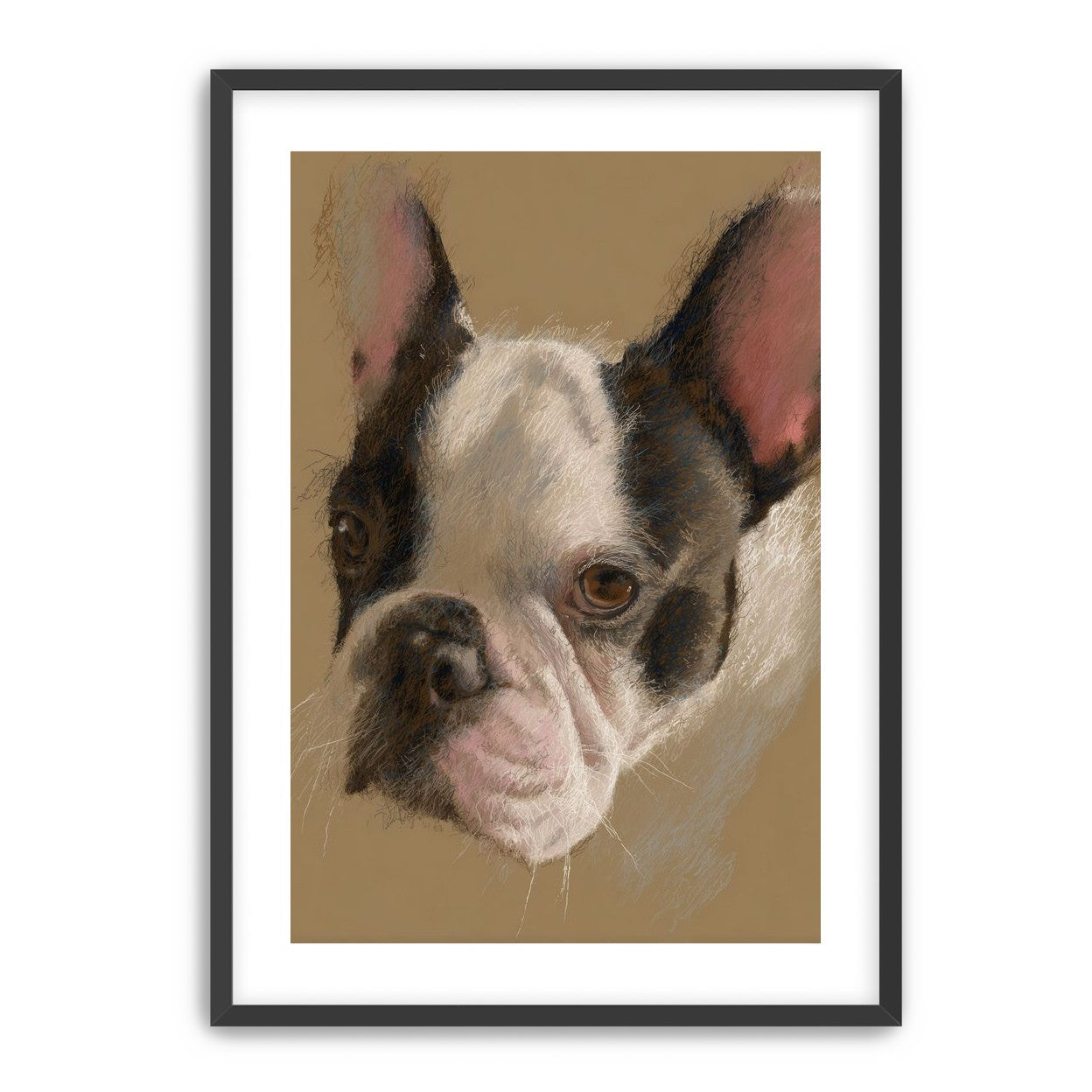 Close portrait with upright ears