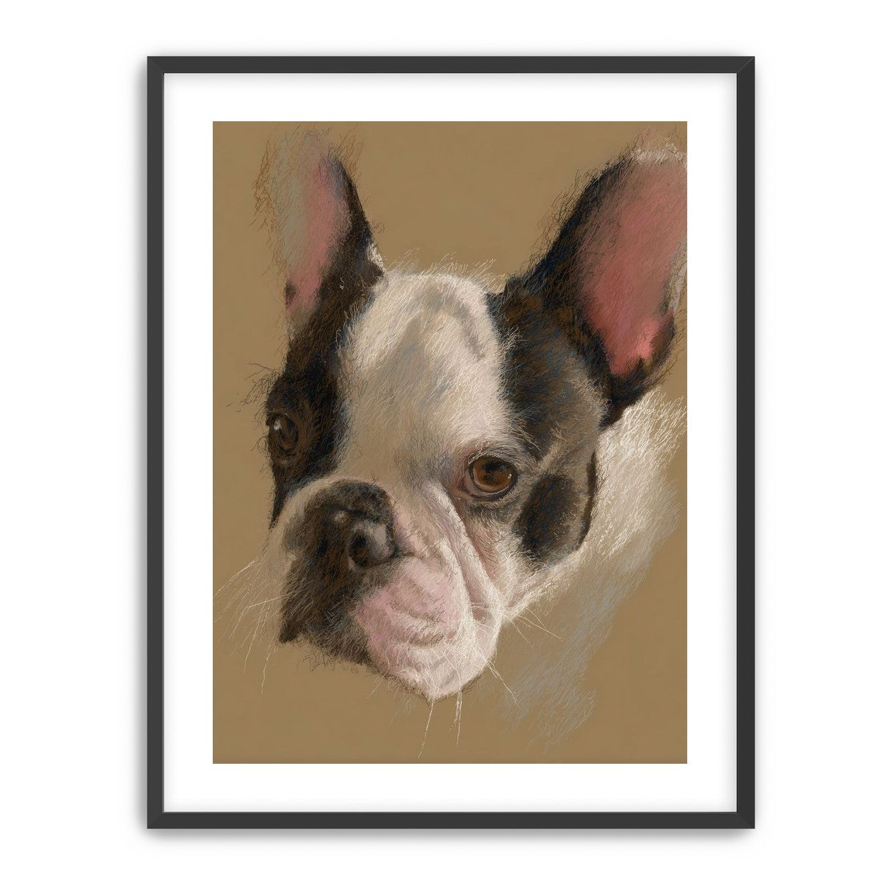 Close portrait with upright ears