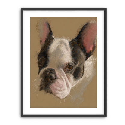 Close portrait with upright ears