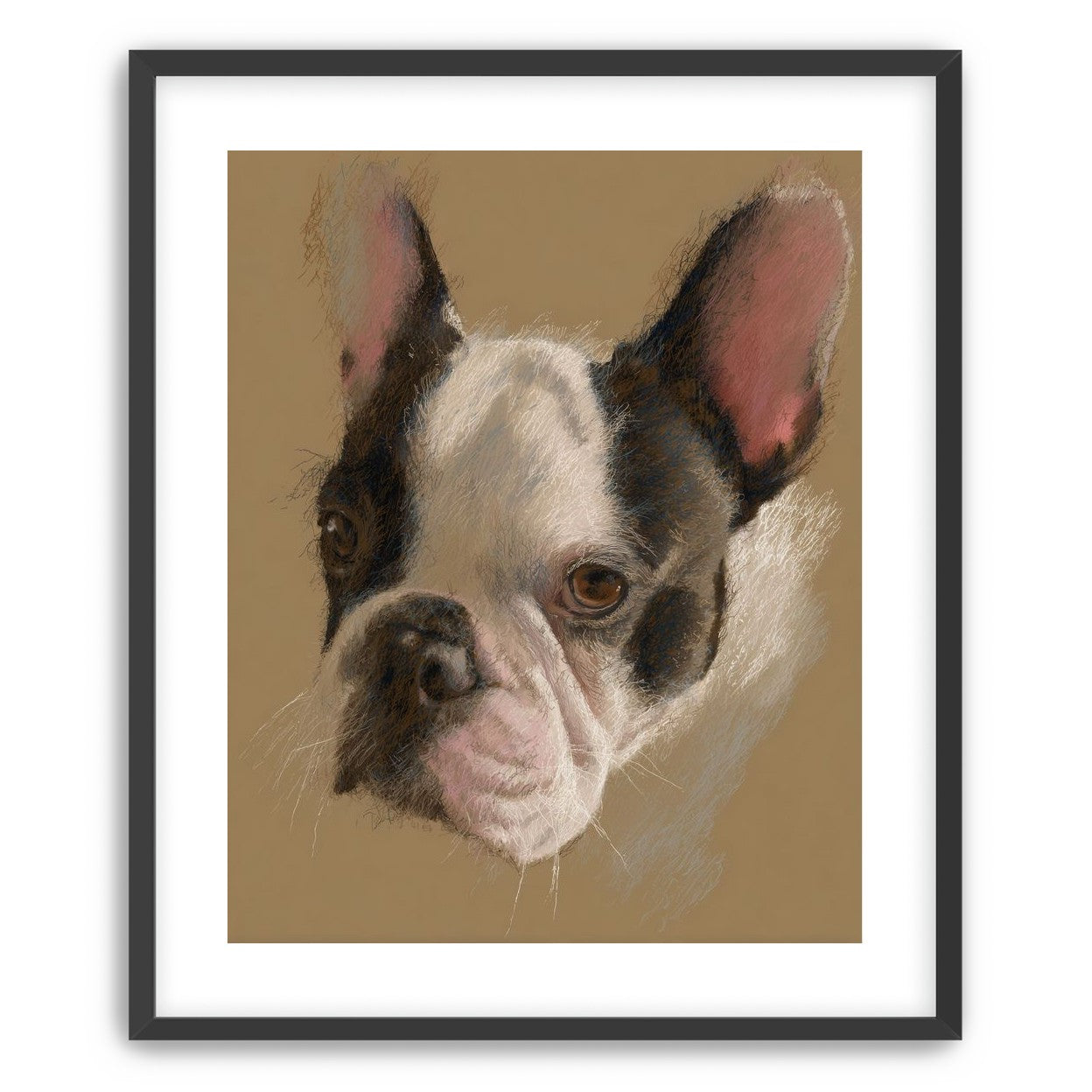 Close portrait with upright ears