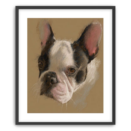 Close portrait with upright ears