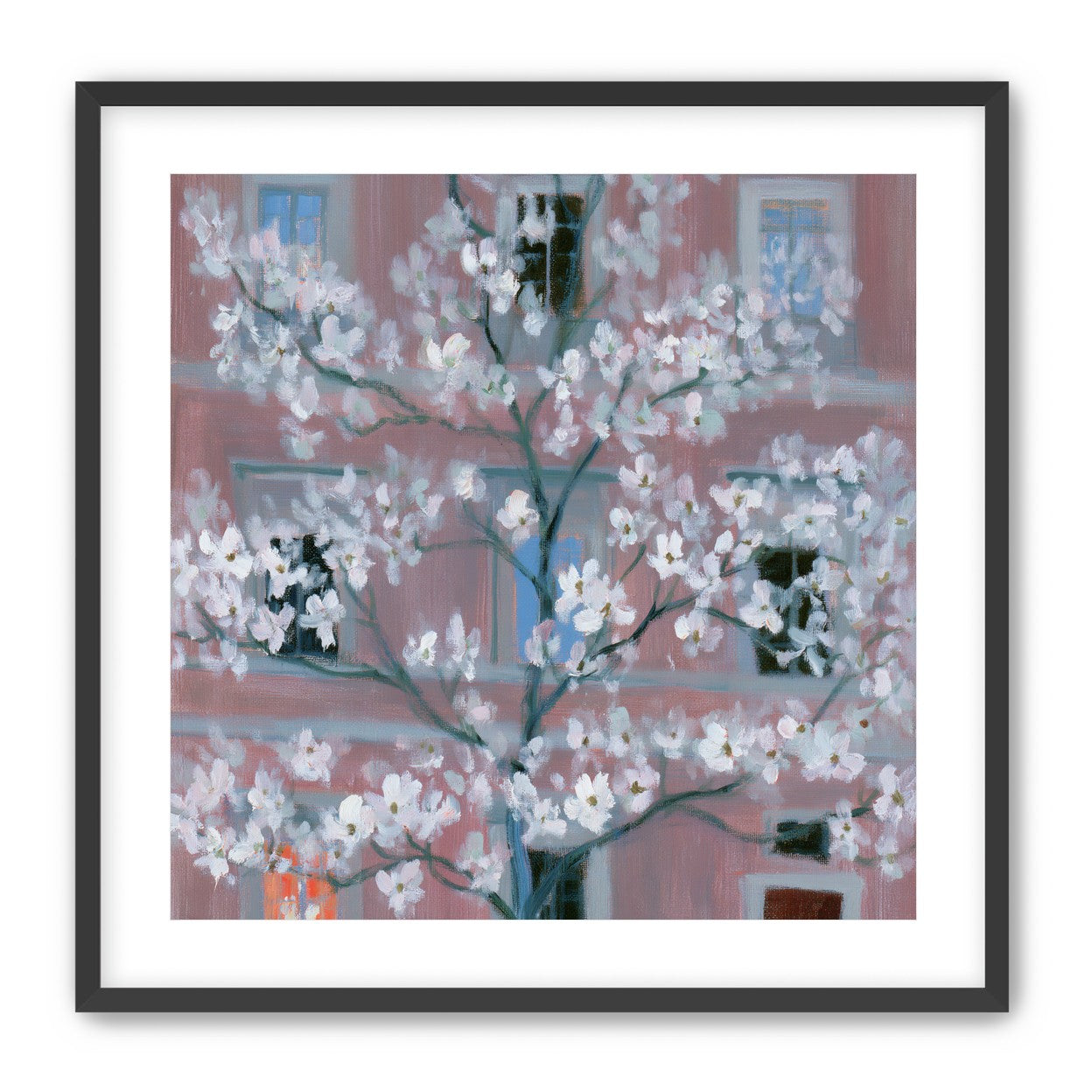 White blossoms against the pink house