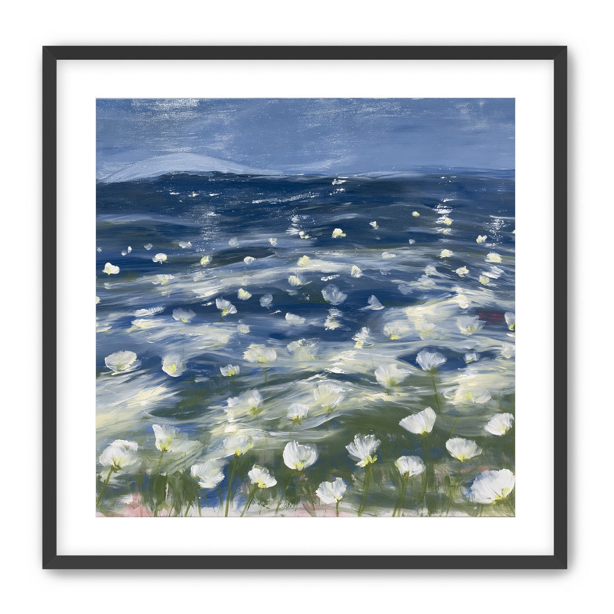 White flowers under blue sky