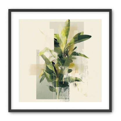 Plant in layered light