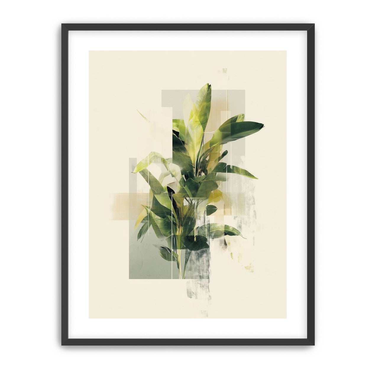 Plant in layered light