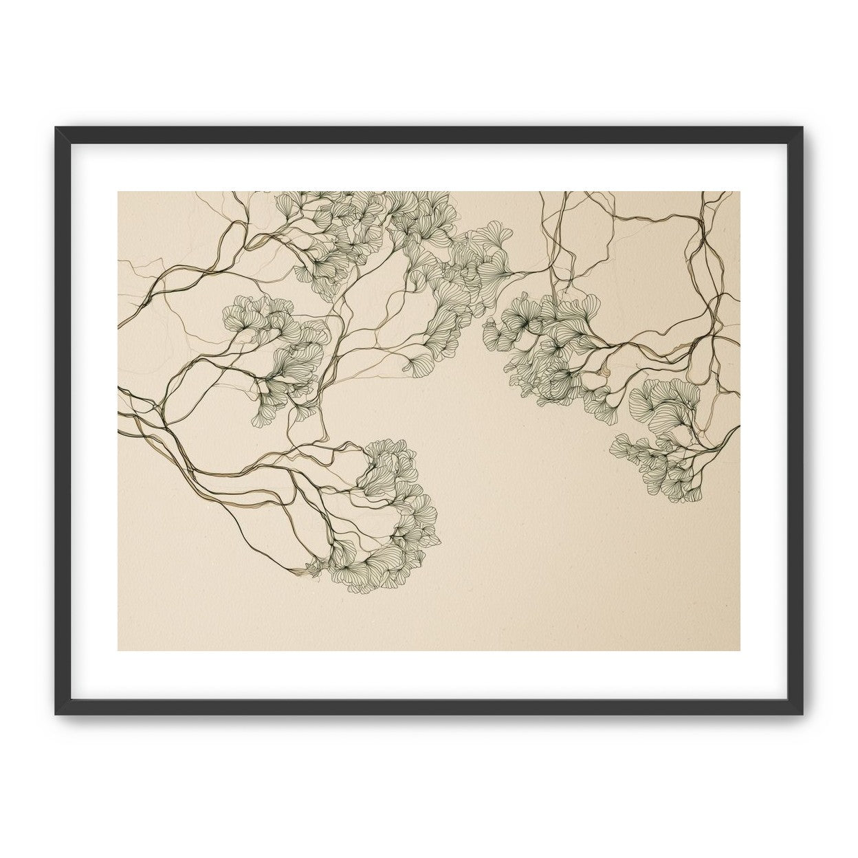Trees Drawn in Continuous Lines