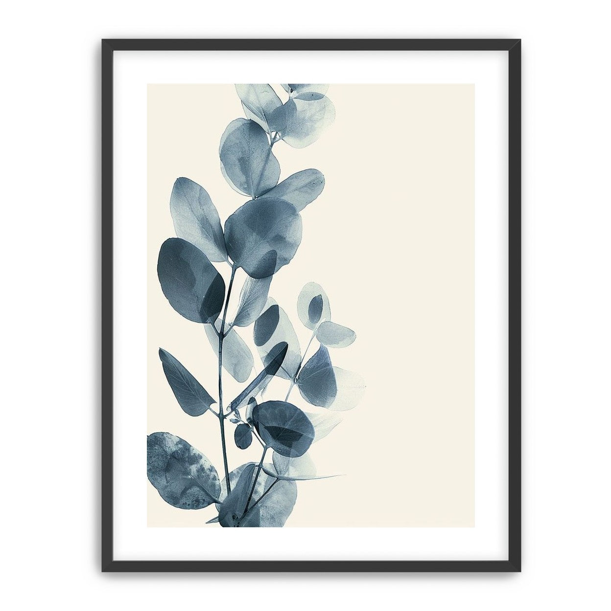 Eucalyptus in quiet blue