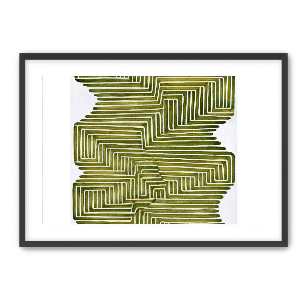 Olive bands in white quiet