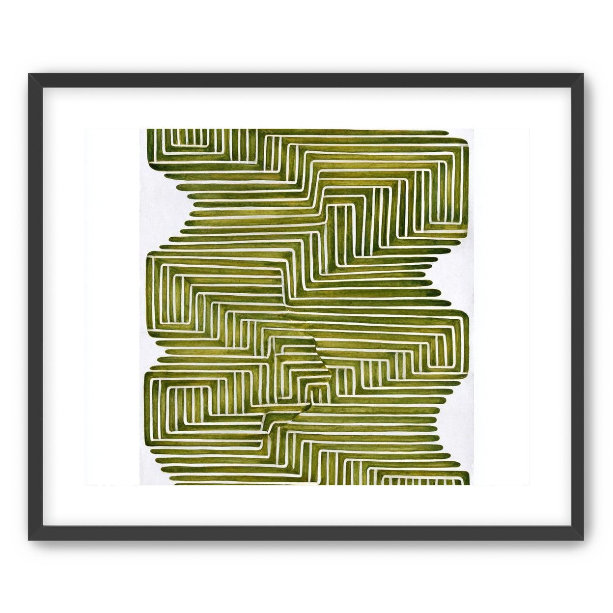 Olive bands in white quiet