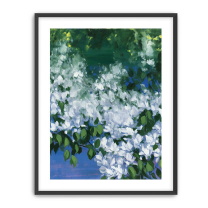 White blossoms over blue shade