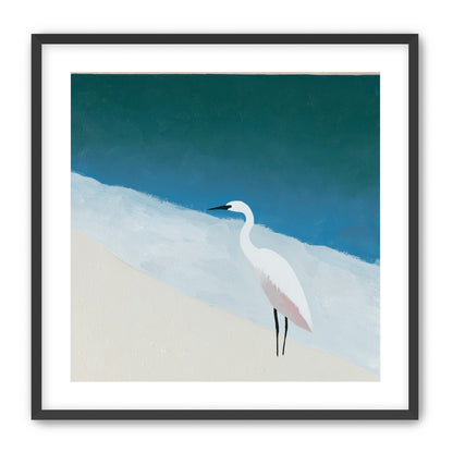 White egret at the shoreline