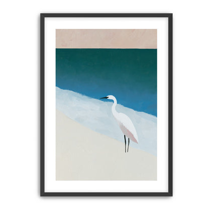 White egret at the shoreline