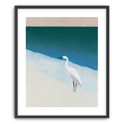 White egret at the shoreline