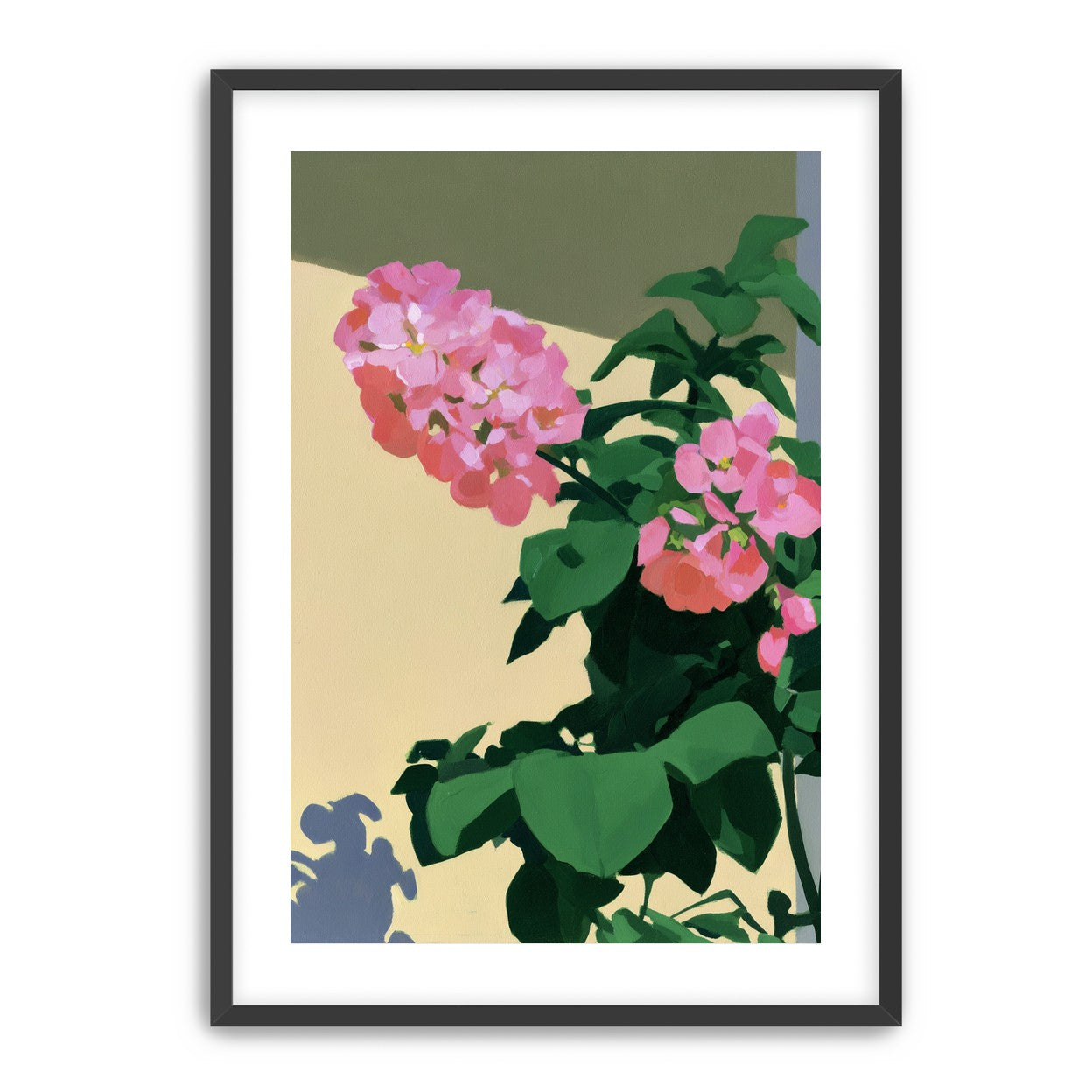Pink blooms in hard light
