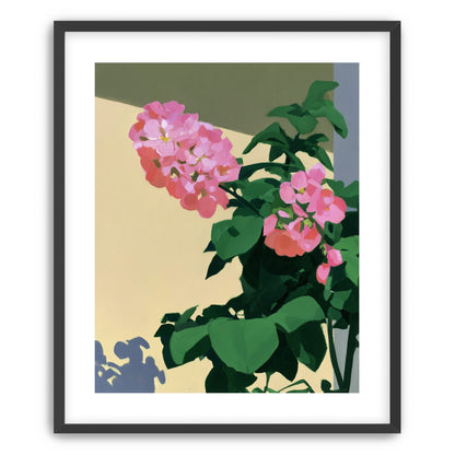 Pink blooms in hard light