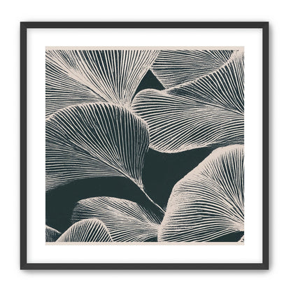 Pale veins on dark leaves