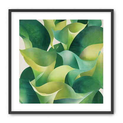 Overlapping curled green leaves