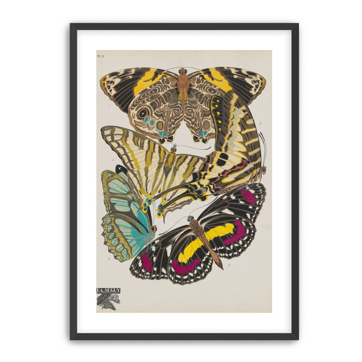 Butterflies among blank paper