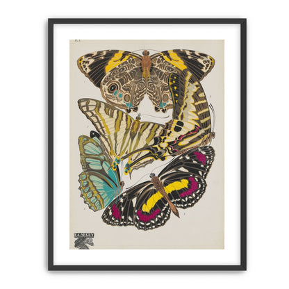 Butterflies among blank paper