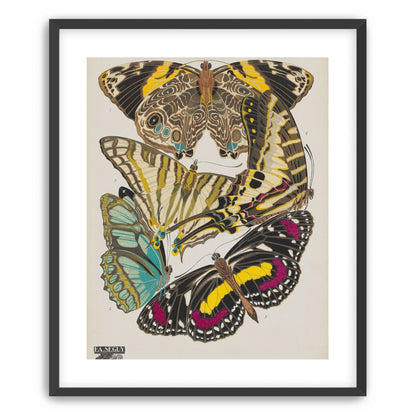 Butterflies among blank paper